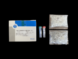 （I級防污）非洲豬瘟病毒實(shí)時熒光PCR檢測試劑盒