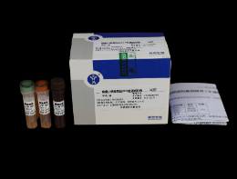 豬細小病毒熒光PCR檢測試劑盒